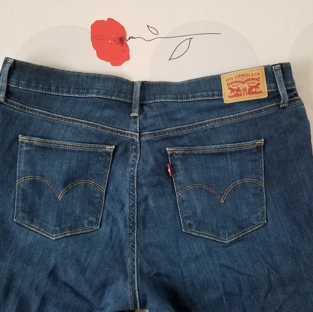 Women's Levis Slimming Skinny sz 33